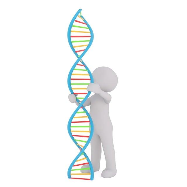 Dědičnost celiakie: Jaká je role genů?