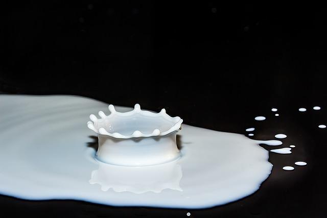 Vápník v potravinách: Stavba kostí bez mléka