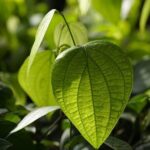 Potraviny proti akné: Co opravdu funguje?