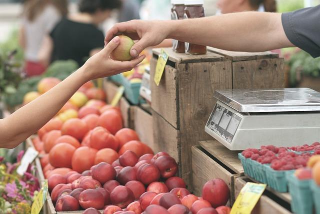 Osobní zkušenosti s ‌prodejem bio ovoce: Co mi pomohlo‍ nejvíce